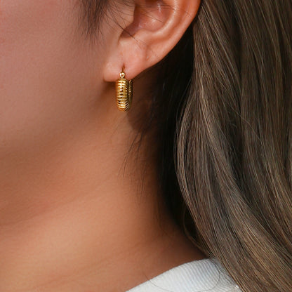 1 Pair Simple Style Solid Color Stainless Steel Plating 18k Gold Plated Hoop Earrings