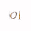 1 Pair Simple Style Circle Sterling Silver Inlay Zircon White Gold Plated Gold Plated Earrings