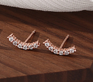 1 Pair Simple Style Solid Color Inlay Sterling Silver Zircon Ear Studs