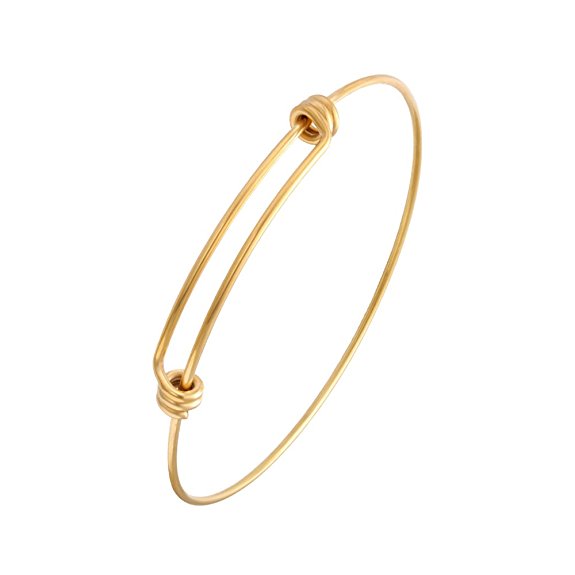 Simple Style Solid Color Stainless Steel Plating Gold Plated Bangle