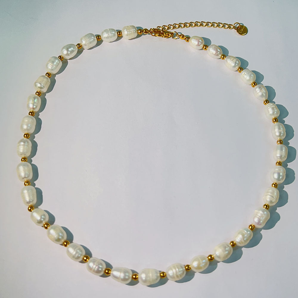 Simple Style Round Stainless Steel Freshwater Pearl Necklace