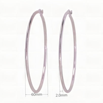 1 Pair Simple Style Geometric Solid Color Plating Sterling Silver White Gold Plated Gold Plated Earrings