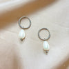 1 Pair Elegant Cute Simple Style Pearl Plating Stainless Steel White Gold Plated Gold Plated Drop Earrings