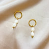 1 Pair Elegant Cute Simple Style Pearl Plating Stainless Steel White Gold Plated Gold Plated Drop Earrings