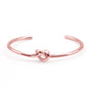 Simple Style Solid Color Stainless Steel Titanium Steel Polishing Plating Rose Gold Plated Gold Plated Bangle