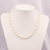 Lady Solid Color Freshwater Pearl Titanium Steel Beaded Plating Necklace