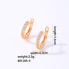 1 Pair Casual Simple Style Shiny Circle Plating Inlay Copper Zircon White Gold Plated Gold Plated Hoop Earrings