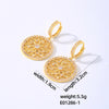 1 Pair Streetwear Round Plating Inlay Copper Zircon White Gold Plated Gold Plated Drop Earrings