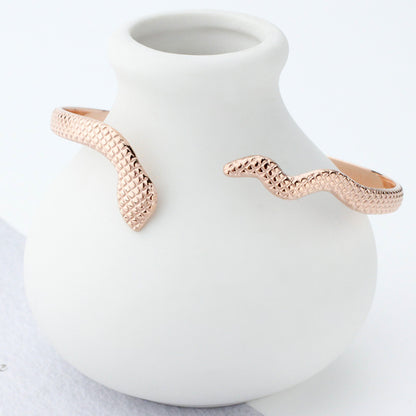 Retro Snake Stainless Steel Titanium Steel Plating Rose Gold Plated Gold Plated Silver Plated Bangle