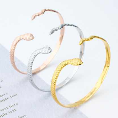 Retro Snake Stainless Steel Titanium Steel Plating Rose Gold Plated Gold Plated Silver Plated Bangle