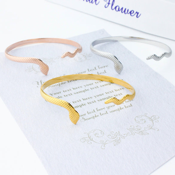 Retro Snake Stainless Steel Titanium Steel Plating Rose Gold Plated Gold Plated Silver Plated Bangle