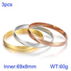 Simple Style Classic Style Solid Color Titanium Steel Plating Gold Plated Bangle