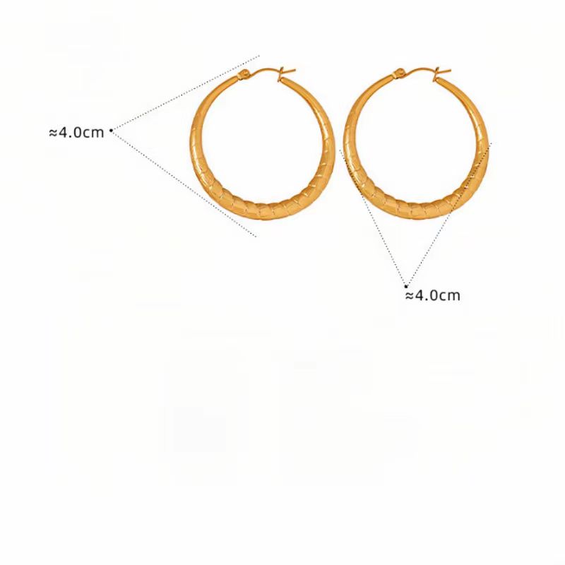 1 Pair Simple Style Round Plating Stainless Steel 18k Gold Plated Earrings