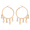 1 Pair Modern Style Simple Style Round Alloy Hoop Earrings