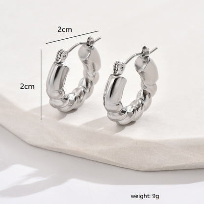 1 Pair Simple Style Geometric Stainless Steel Earrings