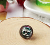 Cartoon Style Cat Alloy Plating Women's Ear Studs