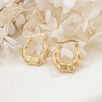 1 Pair Ig Style Geometric Plating Stainless Steel Earrings