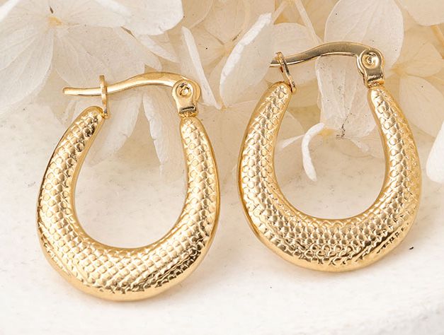 1 Pair Ig Style Semicircle Plating Stainless Steel Hoop Earrings