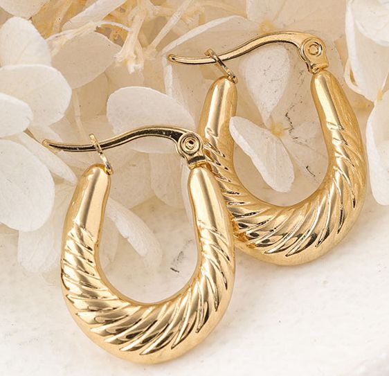 1 Pair Ig Style Semicircle Plating Stainless Steel Hoop Earrings