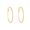 1 Pair Simple Style Solid Color Plating Titanium Steel Earrings