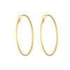 1 Pair Simple Style Solid Color Plating Titanium Steel Earrings