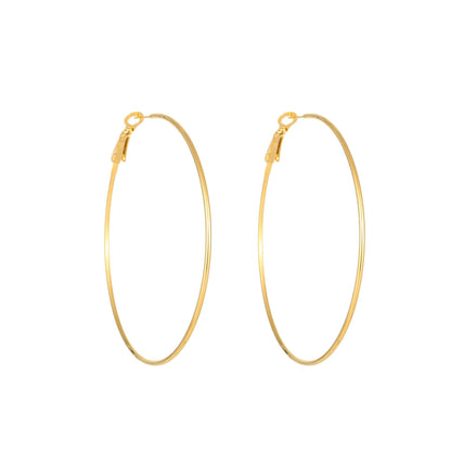 1 Pair Simple Style Geometric Plating Titanium Steel Earrings