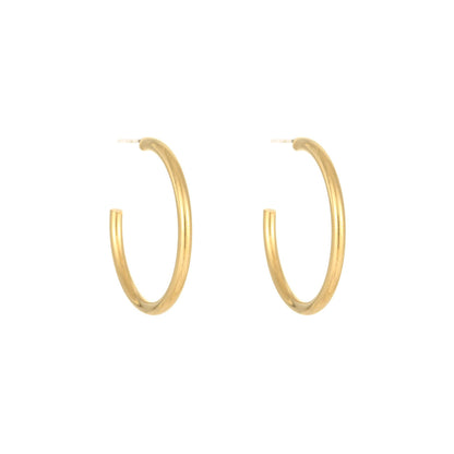 1 Pair Simple Style Geometric Plating Titanium Steel Earrings