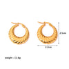 1 Pair IG Style Casual Geometric Plating Stainless Steel Hoop Earrings