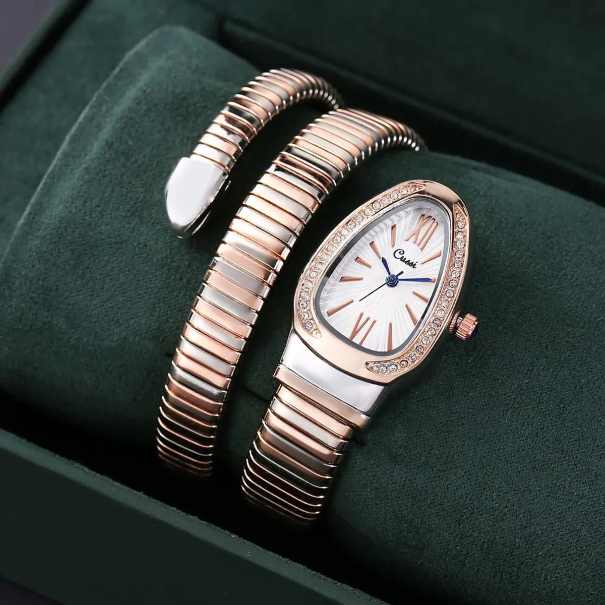 Simple Style Snake Quartz Women'S Watches