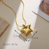 304 Stainless Steel 18K Gold Plated IG Style Simple Style Star Earrings Necklace