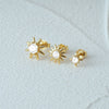 1 Set Simple Style Star Butterfly Plating Sterling Silver Hoop Earrings Ear Studs