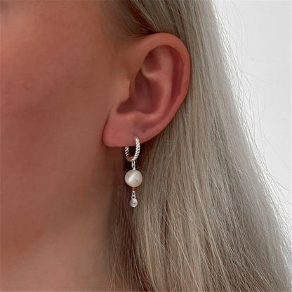 1 Pair Elegant Snowflake Plating Sterling Silver Drop Earrings