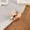 Acetic Acid Handmade Geometric Women's Hair Clips Grab Clip Bangs Clip Mini Shark Clip