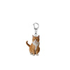Acrylic Cat Keychain With D Shaped Buckle And 2D Flat Double Sided Printing