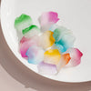 Acrylic Petal Flower Frosted Gradient Diy Earrings And Hairpin Accessories
