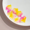 Acrylic Petal Flower Frosted Gradient Diy Earrings And Hairpin Accessories
