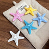 Acrylic Starfish Duck Bill Clip Handmade Women's Hair Accessories