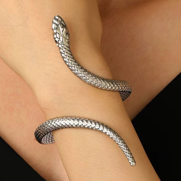 Adjustable Snake Design Alloy Bracelet With Electroplating For Men And Women