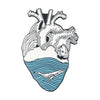 Allmatch Alloy Heartshaped Ocean Series Cartoon Cute Brooch Jewelry With Electroplating