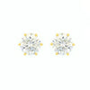 Alloy Electroplated Geometric Zircon Women's Earrings