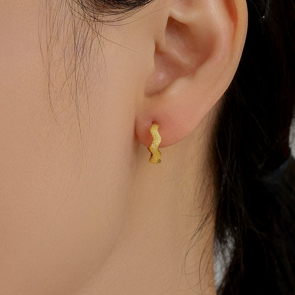 Alloy Electroplated Light Luxury Geometric Women's Earrings