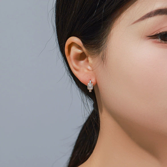 Alloy Electroplated Light Luxury Style Micropaved Zircon Women's Earrings