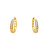 Alloy Electroplated Light Luxury Style Women's Micropaved Zircon Earrings
