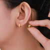 Alloy Electroplated Women's Light Luxury Earrings