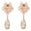Alloy Flower Diamond Dropshaped Earrings For Women