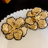 Alloy Geometric Earrings With Electroplating For Women