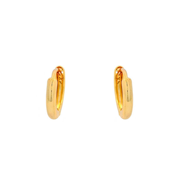 Alloy Geometric Electroplated Light Luxury Earrings For Unisex