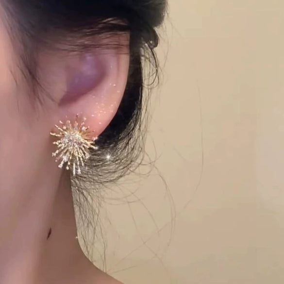 Alloy Geometric Electroplated Women's Light Luxury Elegant Highend Niche Unique Autumn And Winter Ear Jewelry