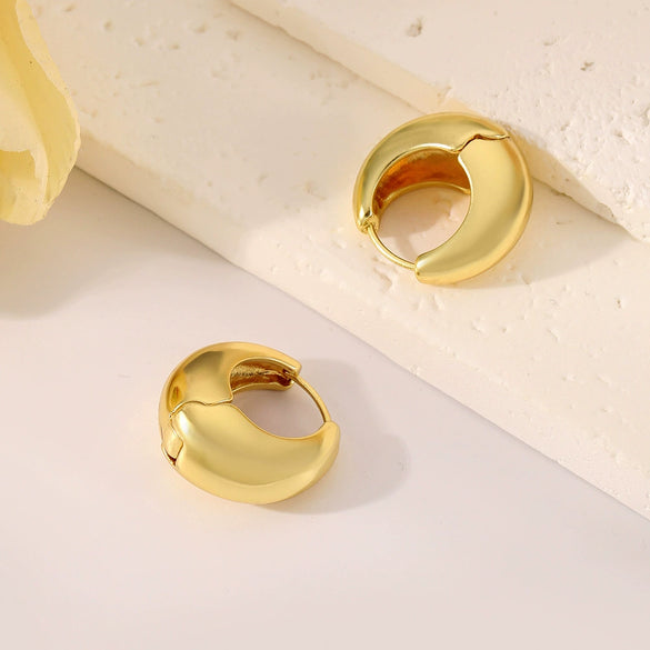 Alloy Geometric Goldplated Earrings For Women