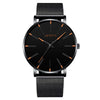 Alloy Mesh Band Men's Leisure Quartz Watch With Round Dial And Pin Buckle